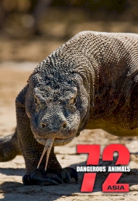 72 Dangerous Animals – Asia