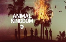 Animal Kingdom 6.Sezon 10.Bölüm