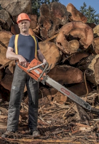 Big Timber