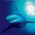 Blue Planet II