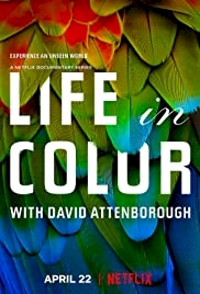 Life in Colour