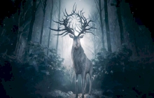 Shadow and Bone 2.Sezon 1.Bölüm