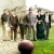 The English Game