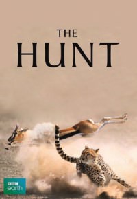The Hunt