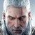 The Witcher